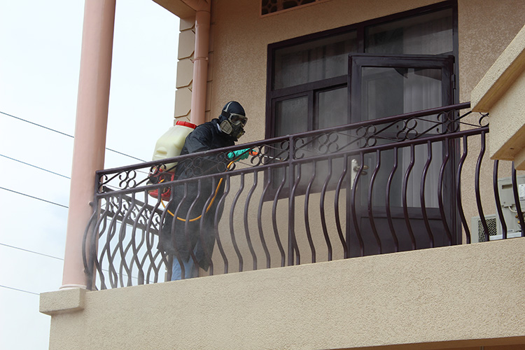  pest control for food processing industries in Addis Ababa Ethiopia