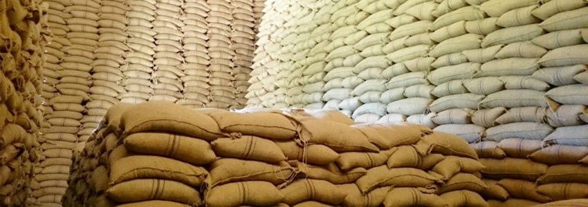 pest control services in Addis Ababa Ethiopia