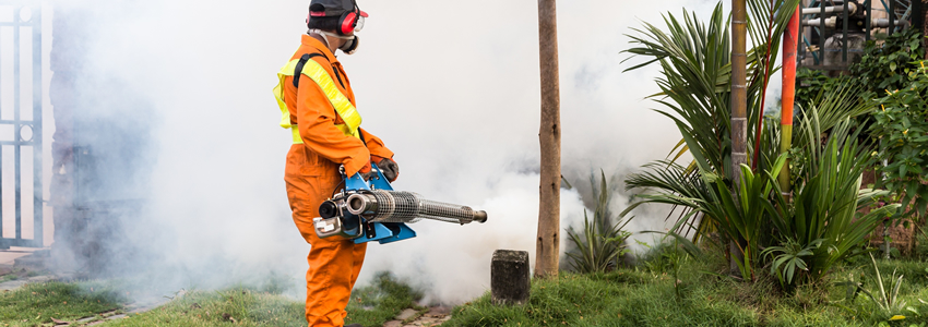 pest control services in Addis Ababa Ethiopia